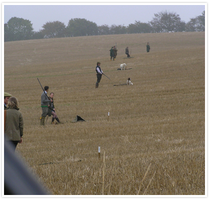 Large image of beaters flushing out pheasants at Willey Park